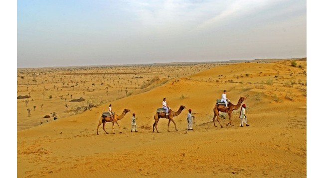 jaipur-to-bikaner-taxi